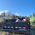 dump trailer full of junk dump it junk removal | garbage services storage unit full of junk Rochester, MN