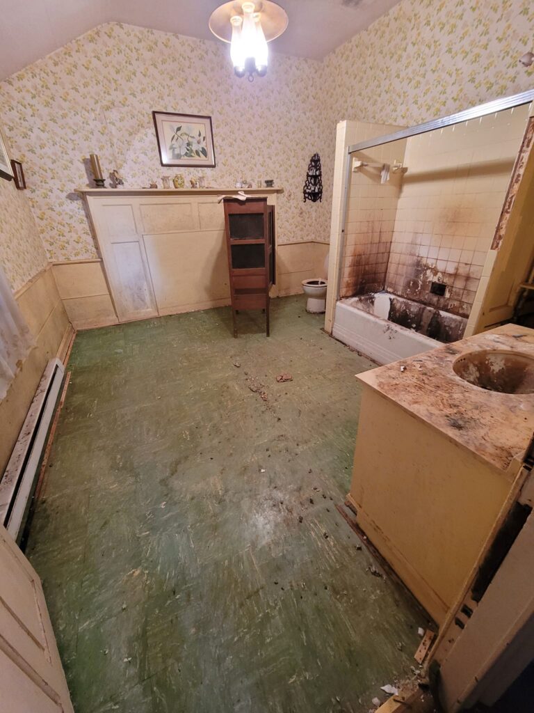 hoarding house cleaned out bathroom